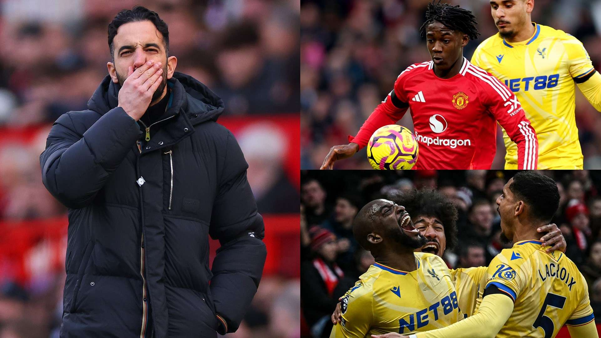 比赛现场的 比赛现场的