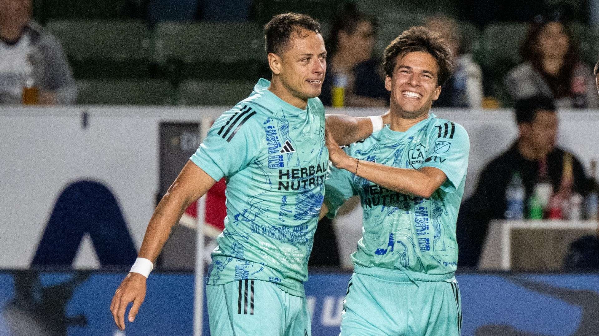 他们的经验 他们的经验